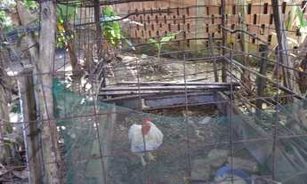 Imagem 3: Sítio no parque Santa Rita Dao Cristóvão