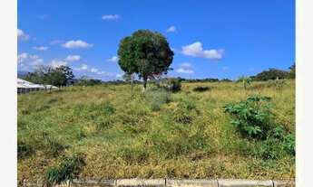 Imagem 4: CHÁCARA À VENDA BUARQUE DE MACEDO