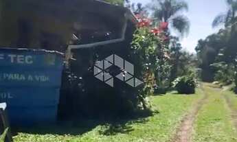 Imagem 3: Chácara com 5 hectares no Morro da Canastra em Farroupilha com casa, árvores frutíferas, á