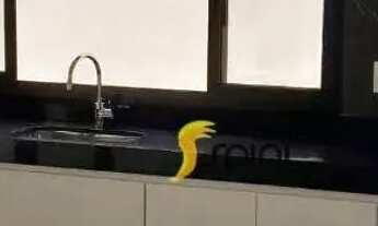 Imagem 7: Casa com 3 dormitórios para alugar, 200 m² por R$ 7.900,00/mês - Grand Ville - Uberlândia