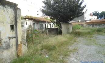 Imagem 3: TERRENO - VILA CAMINHO DO MAR - SP