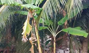 Imagem 6: Vendo casa no Icaraí Caucaia pra reforma