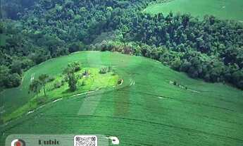 Imagem 3: Área Rural 12 Alqueires - Pilar do Sul/SP