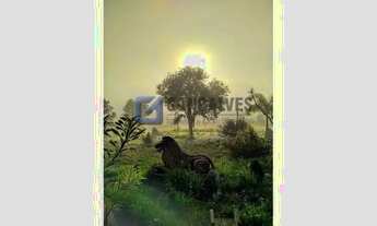 Imagem 6: Sítio à Venda em Taiaçupeba, Mogi das Cruzes 3 Quartos, 2 Suítes, 20.000 m²