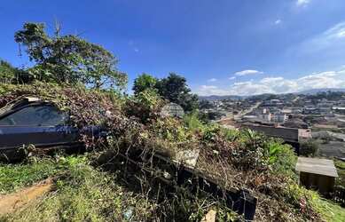 Imagem 6: Vendas Terreno Almirante Tamandaré PR