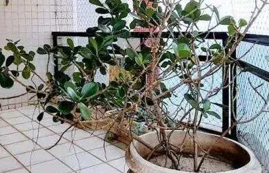 Imagem 3: Cobertura 4 quartos em Praia de Itaparica