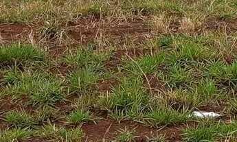 Imagem 2: Sala comercial 70 metros