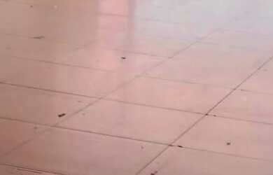 Imagem 5: Alugo sala comercial