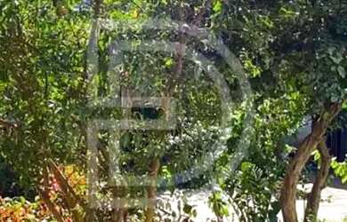 Imagem 2: Imóvel para aluguel tem 35 metros quadrados com 1 quarto em Setor Campinas - Goiânia - GO