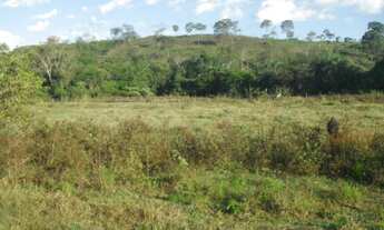 Imagem 2: Chácara em Baldim de 21mil m² com Rio nos fundos, WhTSApp * Guilherme