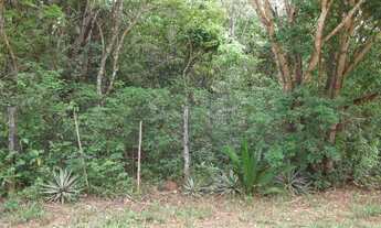 Imagem 6: Jaboticatubas linda chácara de 20.000 m² próximo ao Rio. WhTSApp * Guilherme