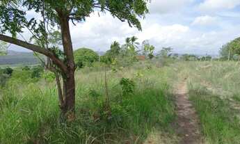 Imagem 6: Vitória Sítio 3 Ha Com Muitas FruteiraS - Vl 90 Mil