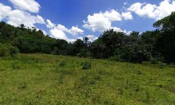 Imagem 5: Vendo Excelente fazenda Em Nazaré das farinha