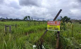 Imagem: Vendo Ótimo Sítio, Super Barato a Apenas