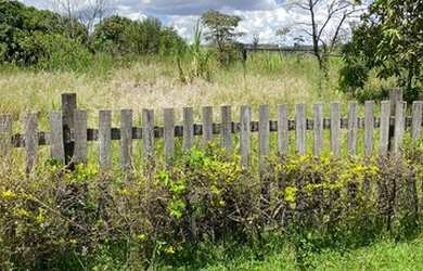 Imagem 5: Casa Ponte alta norte, 3 quartos, Lote de 750m²