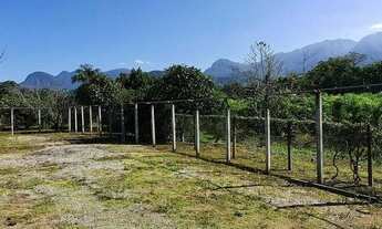 Imagem 7: Chácara à venda no bairro América de Cima - Morretes/PR