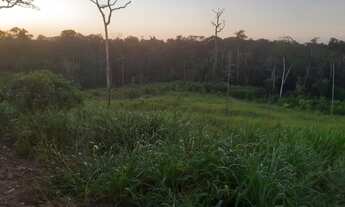 Imagem: Vendo Área de Terra em Sena Madureira