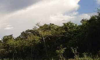 Imagem 6: Terrenos na estrada nova