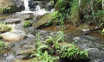 Imagem: Estou desapegando desses terrenos em Igaratá!