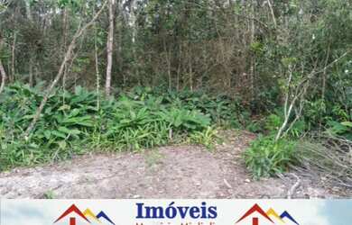 Imagem 2: Vendo lote na Praia do Ervino