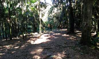 Imagem 6: Chácara-à-Venda-em-São-João-da-Graciosa-Morretes-PR