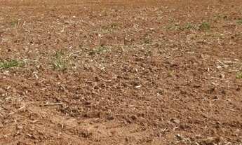 Imagem 7: Sítio em Tietê