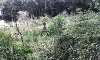 Imagem 6: Terreno para Venda em Centro Bocaiúva do Sul-PR - 546