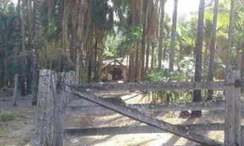 Imagem: Fazenda Serra de São vicente - Venda 91