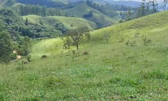 Imagem 2: Lote/Terreno para venda possui 5000 metros quadrados com 1 quarto em Porto de Igaratá - Ig