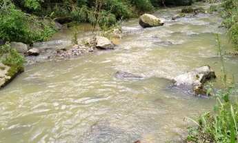 Imagem 6: Sitio com casa - 4 hectares