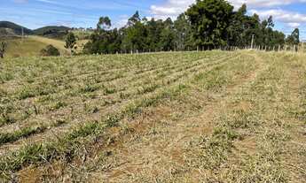 Imagem 4: Q03-Venha pro ar puro e muito verde