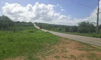 Imagem 4: Fazenda com 137 hectares a um km centro de São Pedro do Potengi