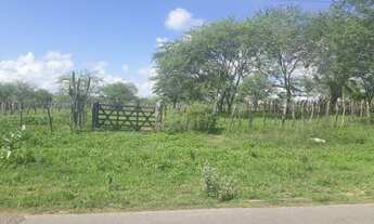 Imagem 7: Fazenda com 137 hectares a um km centro de São Pedro do Potengi