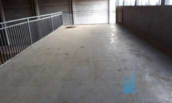 Imagem 6: GALPAO/BARRACAO Galpão / depósito com aluguel por R$8.000 /mês