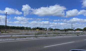 Imagem 3: Adairton Brito terreno plano de 43,500m2