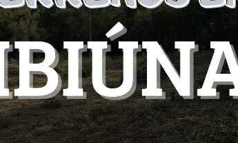 Imagem: Terrenos Planos e Limpos Para Sua Casa de