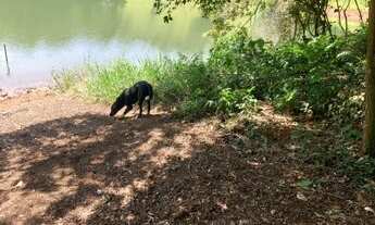 Imagem 5: Terreno direto com dono