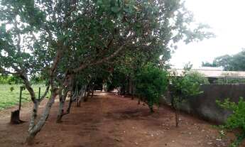 Imagem 6: Chácara em Terenos Comunidade Nova Aliança