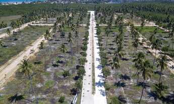 Imagem 5: REPASSE TERRENO LOTEAMENTO PRAIA BELLA - São José da Coroa Grande