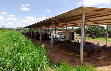 Imagem 2: Fazenda à venda, Rural, Santa Rita do Pardo, MS