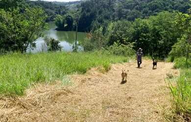 Imagem 5: Terreno em bairro valorizado
