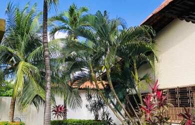 Imagem 5: Vende-se Casa no Calhau - 05 suíte sendo 01 master - todas com varanda - Piscina - Área Go