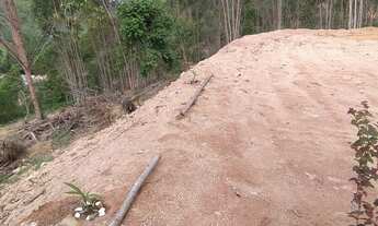 Imagem 6: Vendo chácara Chácara com venda por R$65.000