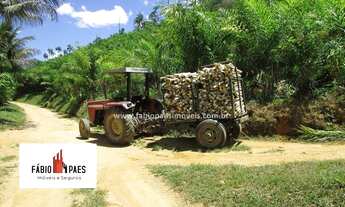 Imagem: Fabio Paes Imóveis - Fazenda a venda palmito
