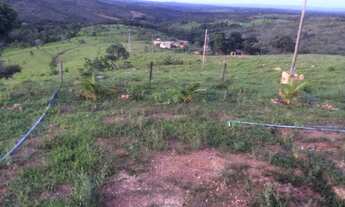 Imagem 6: Sítio, ótimo investimento,20 hectares