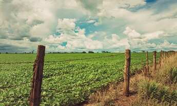 Imagem 5: Crédito Rural R$ 200.00,00 a R$ 1.000.000,00