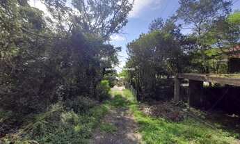 Imagem 7: FLORIANóPOLIS - Terreno Padrão - Ribeirão da Ilha