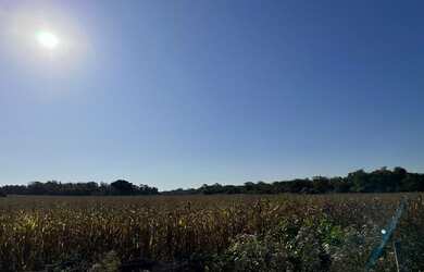 Imagem 2: Fazenda/Sítio/Chácara para venda tem 820000 metros quadrados com 1 quarto