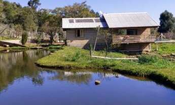 Imagem 6: Sitio com uma Bela Casa em São Francisco de Paula na Localidade da Recosta