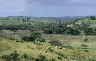 Imagem 2: Fazenda Em Umbauba